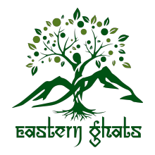 easternghats.co.in